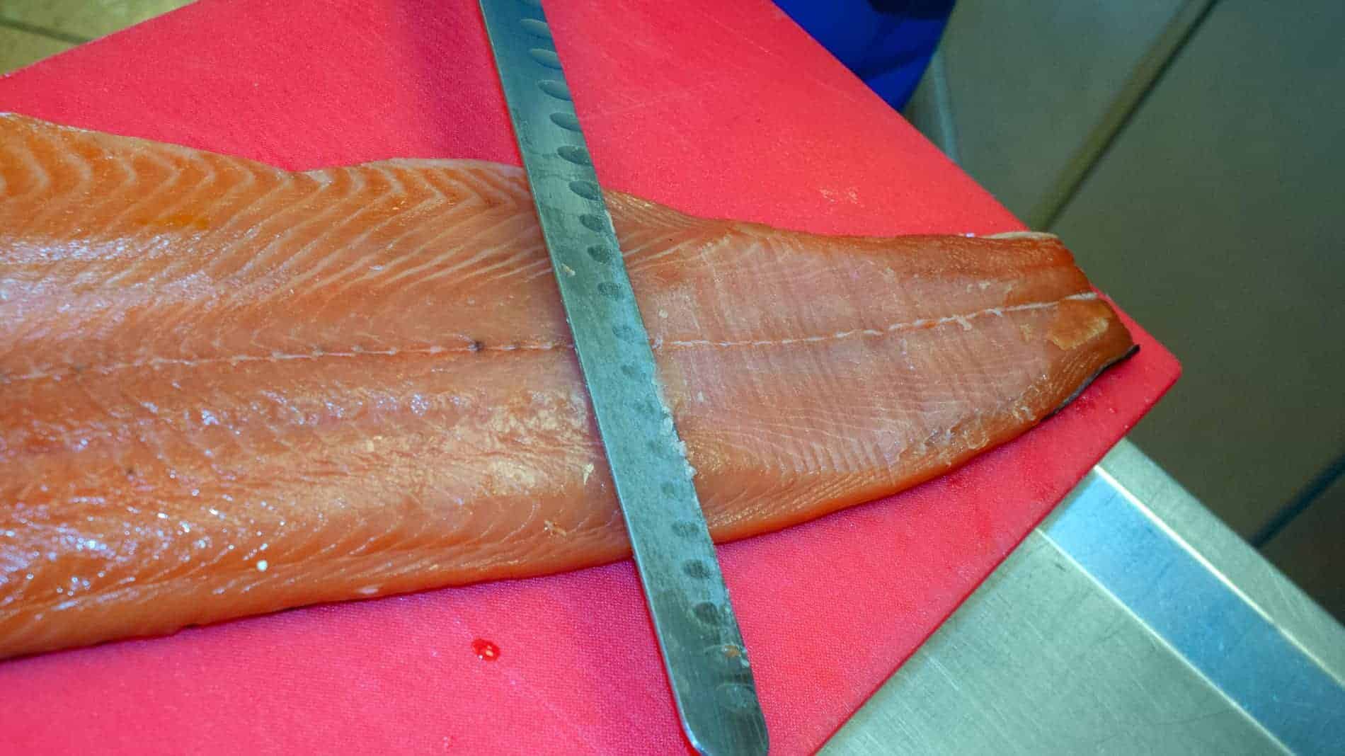Salmon Header