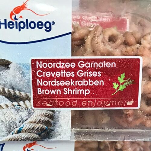 Crevettes Grises
