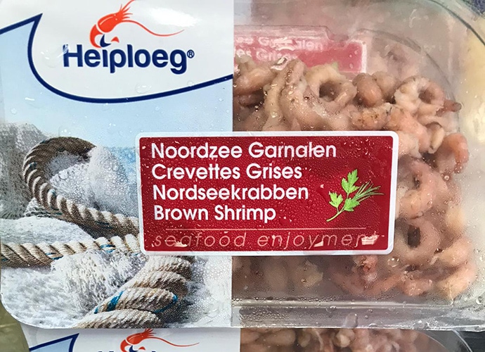 Crevettes Grises