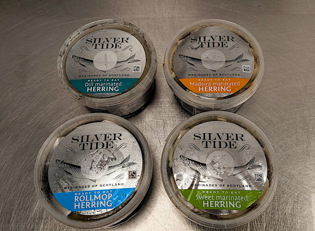 Herring Silver Tide