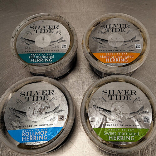 Herring Silver Tide
