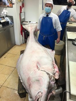 Zoltan With Giant Halibut