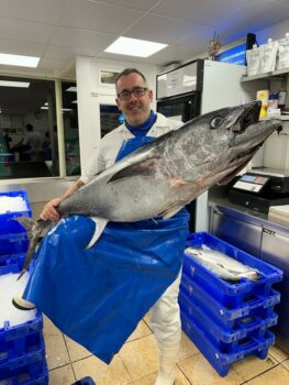 David And The Blue Tuna Fish