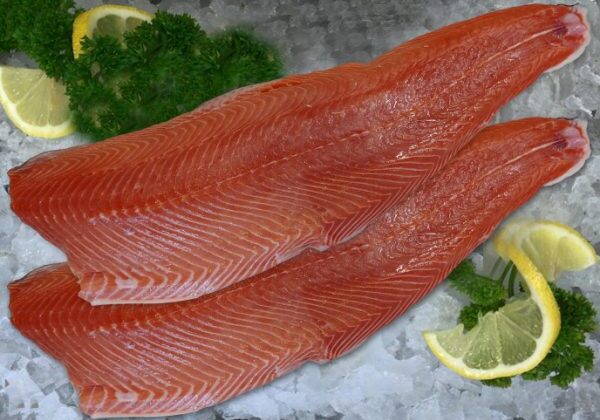 Sea Trout